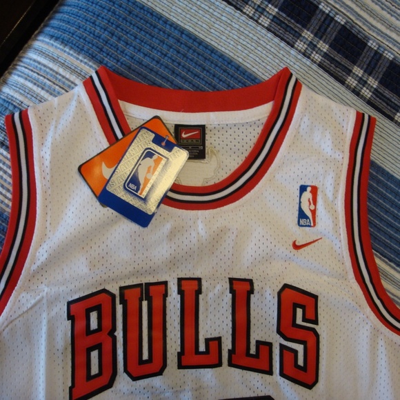 Nike Other - Chicago Bulls Jordan Jersey 23 NWT M